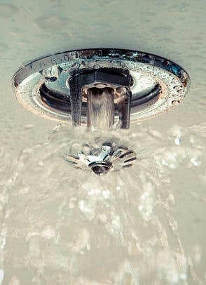 istockphoto-152499297-612x612